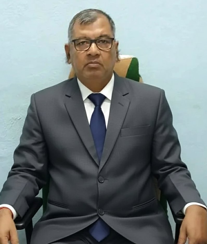 Prof. Manoj Kumar Dandpat, Director of KIPS